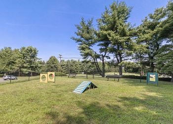 Dog park